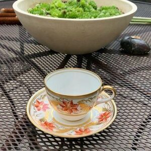 Royal Chelsea Orange Poppy Teacup Set Gold Scroll